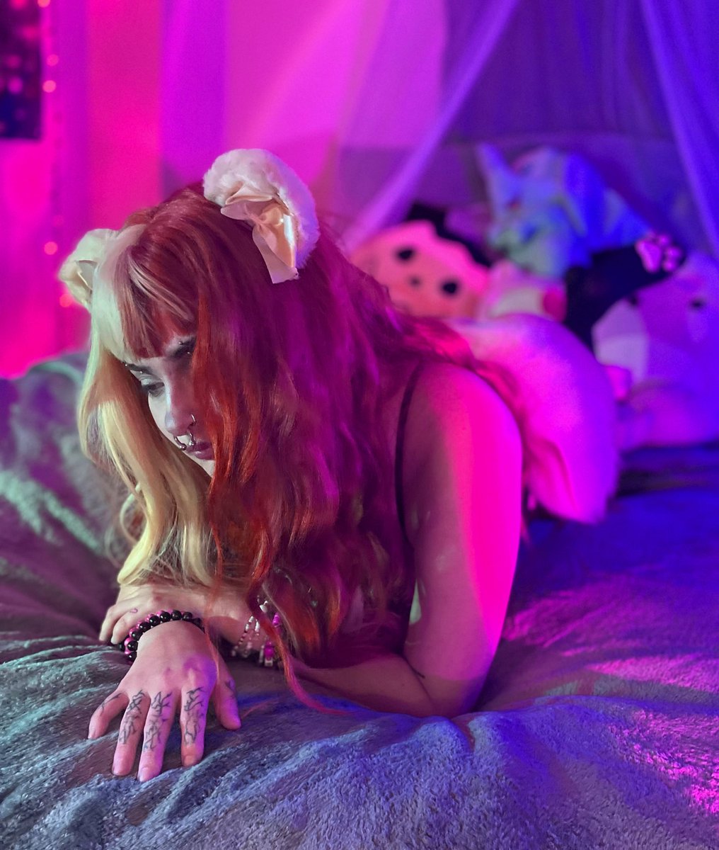billixbunni's tweet photo. lil kittie https://t.co/3O11P5klY2