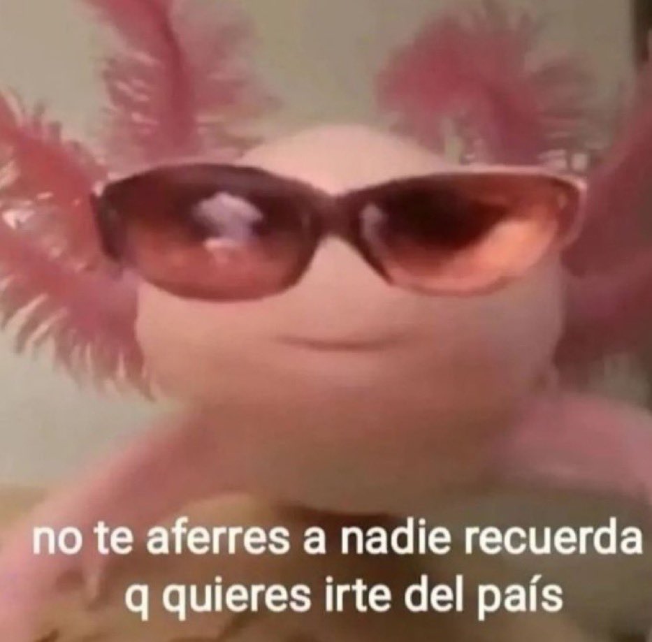 Mi consejo del día