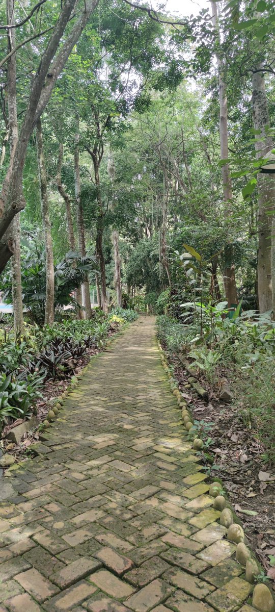 Alejandro_AT__'s tweet image. O importante é continuar o caminho... 🍃🌿 . .
.
.
.
.
.
.
#AlejandroAT #santander #bucaramanga #sangil #sangilsantander #sangilsantander🇨🇴 #santandercolombia #ocaminho