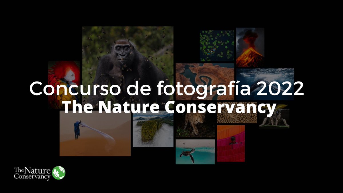 concursosdefoto's tweet photo. Concurso de Fotografía "The Nature Conservancy"  📸 - https://t.co/Vna6Hpvh8J La fotografía profundiza nuestra conexión con el planeta. Participa AHORA. Gana grandes premios 🥇🥇 https://t.co/huFcaAM0Uc