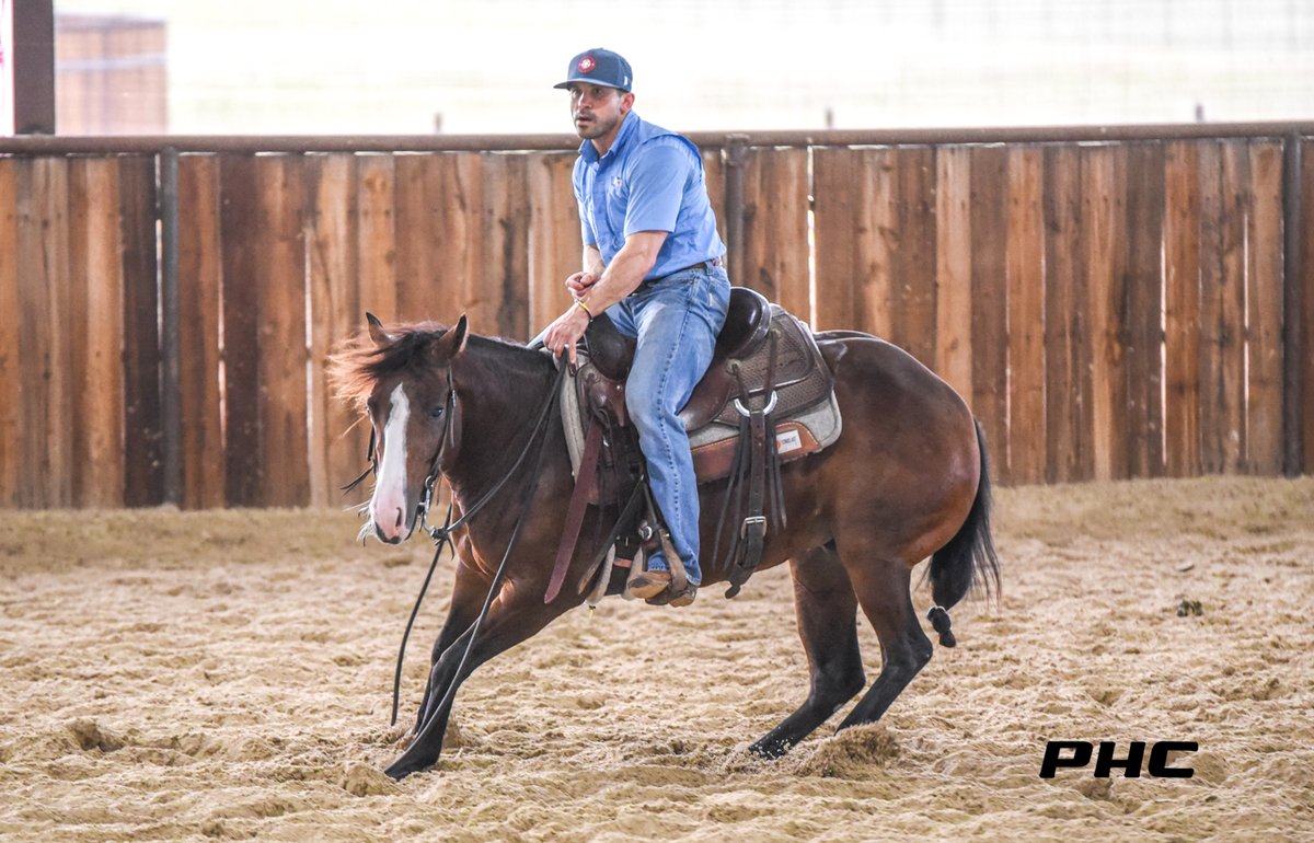 PHorseCentral's tweet photo. #NCHA OPEN #FuturityProspect HER HIGHNESS 2019 Bay Mare sired by #OneTimeRoyalty and out of Poo Smoothie (NCHA LTE $114K) by #SmoothAsACat.
Serious enquiries only, contact #CullenChartier for more info PH: 817-565-8514
https://t.co/yukG6qM8MJ https://t.co/9gZRzhWLbU