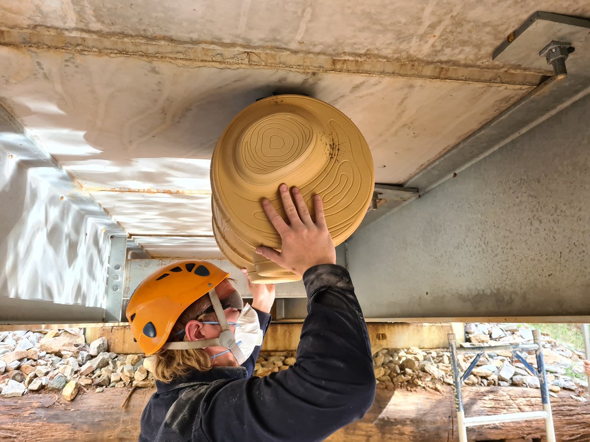 HabitatInnov's tweet photo. Last week we had the pleasure of working with the team from @NSWDPE and #NPWS to install #Habitech modular boxes under new bridges in northern NSW for #microbats. What a great bunch of people to work with, hopefully we'll see some great results soon. https://t.co/IVuH08cij4