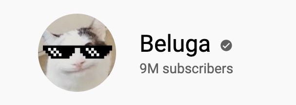Beluga on X: 9 MILLION… we did it!! thank you all so much ❤️   / X