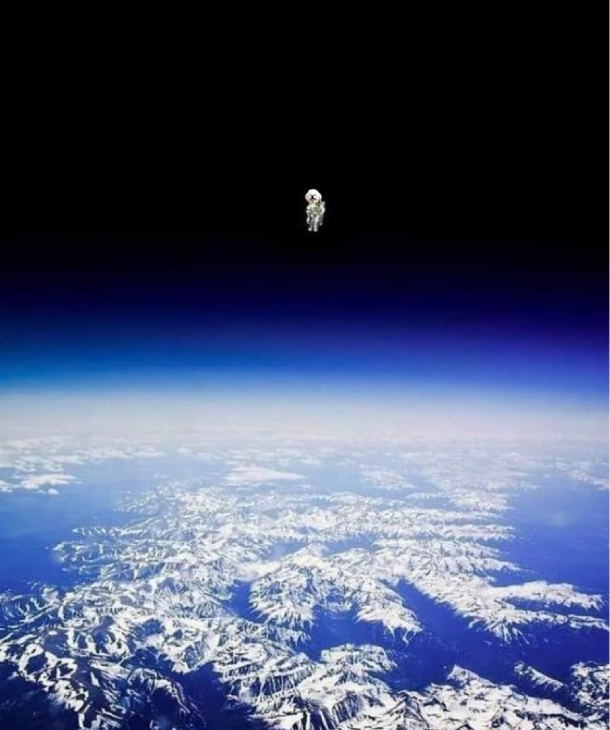 TedCruzPoodle's tweet photo. @joslater37 Weeeee!
#adventureswithsnowflake
#wherespoodle ๐คท https://t.co/ZZFHZwR1Ht