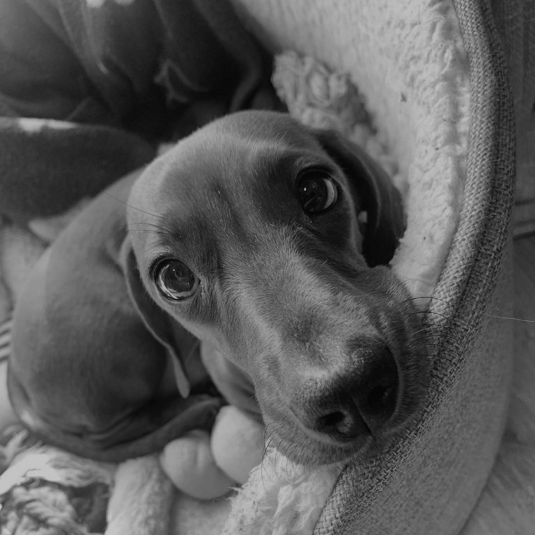 ㅤㅤㅤㅤㅤㅤ
ㅤㅤㅤㅤㅤㅤHappy Fathers Day! ㅤㅤㅤㅤ
ㅤㅤ