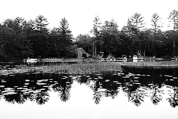 DiannFisherFL's tweet photo. New artwork for sale! - "Lakeside Reflections in BW" - https://t.co/DwxoXhHAEA @fineartamerica https://t.co/JtFSIcpaEC