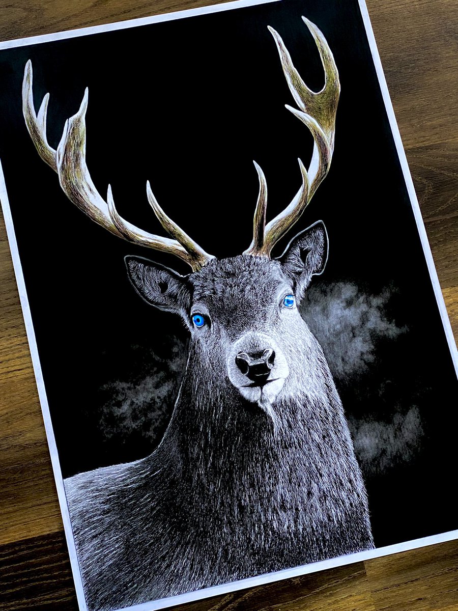 Tweets With Replies By 松田辰也 Tatsuya Bond Twitter