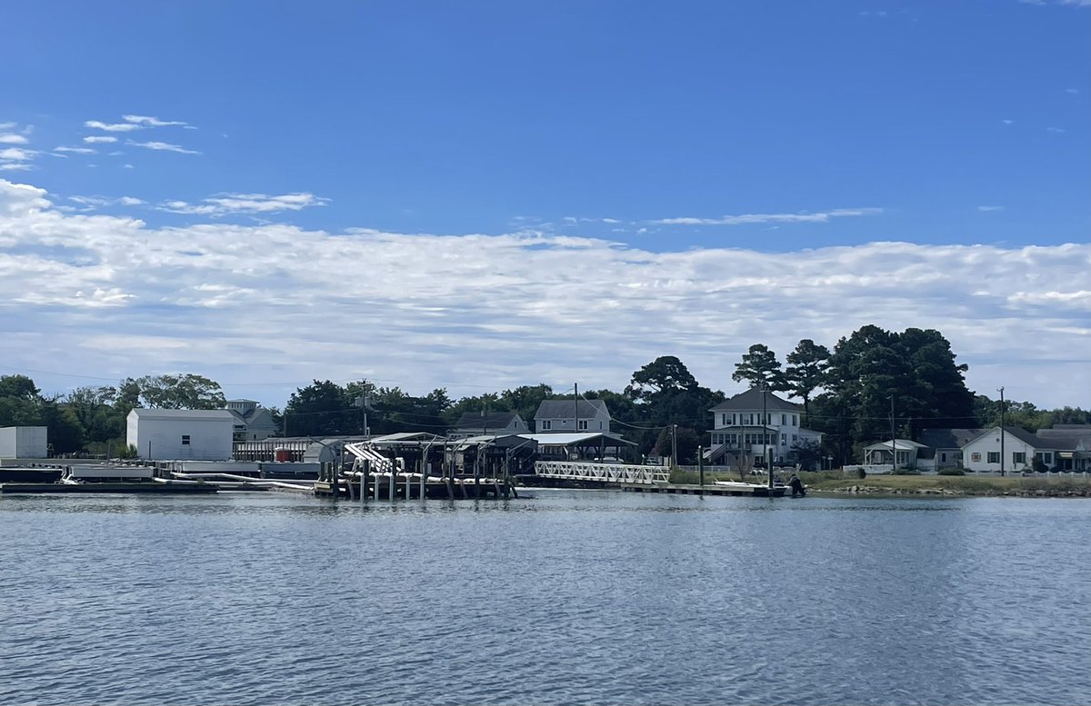 Huge thank you to @ChrisPatrickPhD and Bo Lusk @nature_org for organising an extra curricular visit to Oyster VA to see the seagrass seed nursery and learn some tricks for scaling up at @CQUniCMERC you guys are doing amazing work!