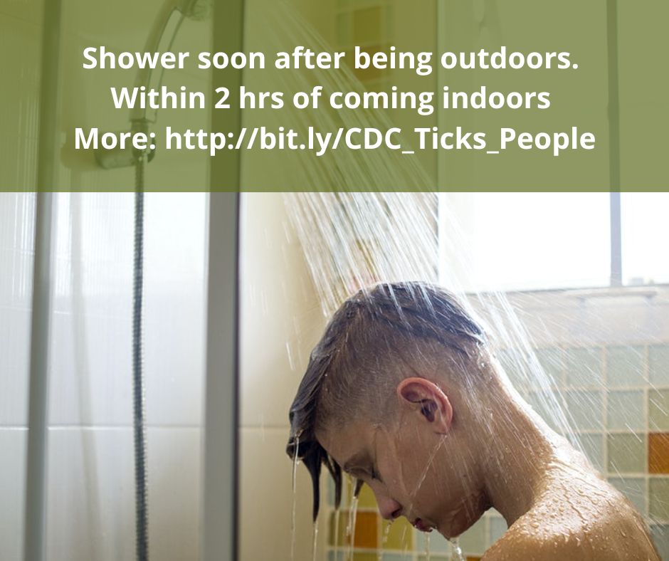 NHPubHealth's tweet photo. Wash away those ticks! Showering within two hours of coming indoors has been shown to reduce your risk of getting Lyme disease and may be effective in reducing the risk of other tickborne diseases.  Learn more: https://t.co/Z117dhFaeG #Showering #Lyme #tickborne #ticksafe https://t.co/xVpAk0z4GD
