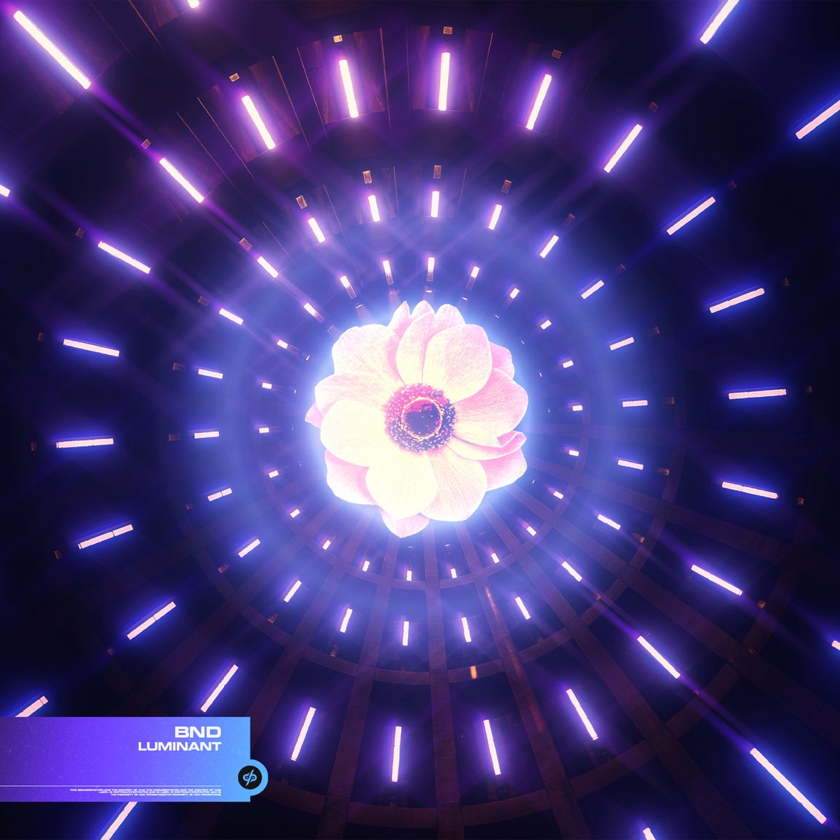 BND - Luminant // OUT NOW 🎶

• DL / Stream: bit.ly/DEZP-S154

#dubstep #bass #house #electronic