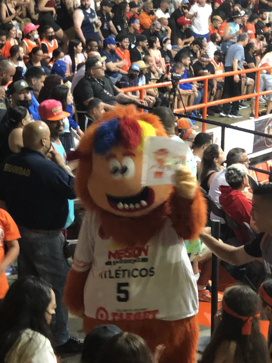 SarcasmusVox's tweet photo. #PuertoRico #SanGermàn #Atléticos #FinalesBSN #BASKET #LaCunaSeRespeta #Monsti @bsnpr @LaguiritaBSN @LaGuerraBSN @atleticosbsn https://t.co/bl5z3ZuI82