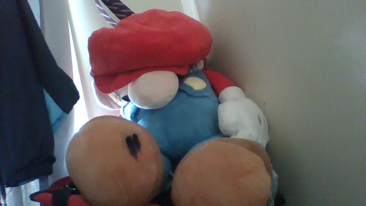 PyraOdyssey's tweet photo. @SuperMarioT_YT i have this mevans plushie too tf if his head didnt look like a deflated balloon everytime you sit him down itd look good https://t.co/LoFfNU2L0M