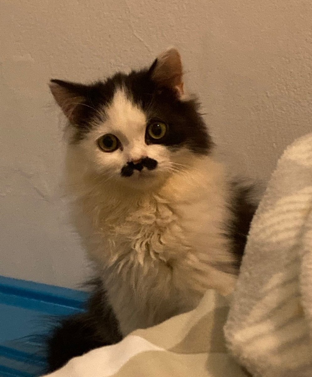 Beni merak eden varsa hemen hemen böyle bi şeyim😂