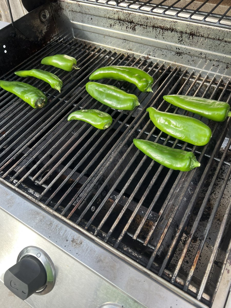 GuyEchols's tweet photo. If you like the heat, hot Hatch chiles grilled up will bring it. I like to char ‘em a little a then freeze them individually. The rest of the family don’t like that🔥 @HEB #HatchNM #heat #chiles https://t.co/mUy0qMAJIs