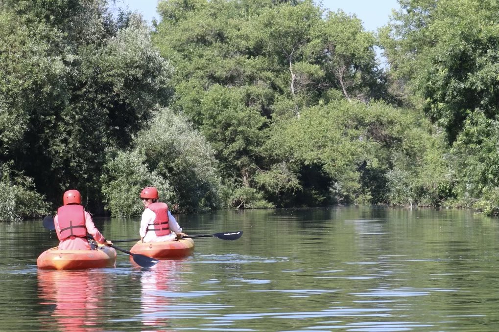 lariverx's tweet image. Sunday Funday! ☀️

#nature #outdoors #kayaking #summer #losangeles