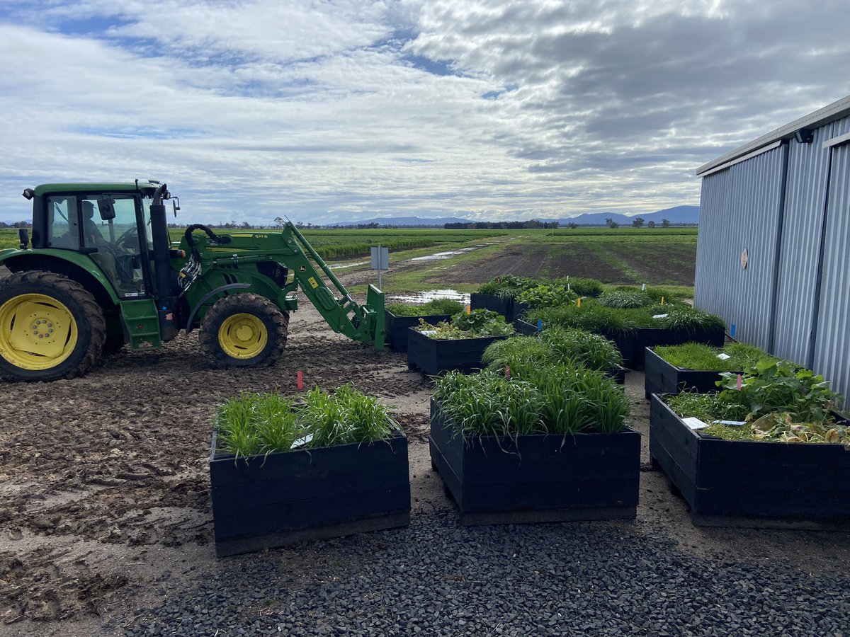 #Breeza field station, #agquip2022 planter boxes assembled ready to truck to the 5 sites which they will be on display. C U there! @CortevaAU