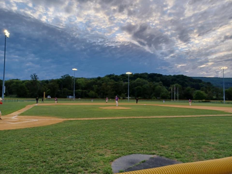 Post 282 Baseball tweet media