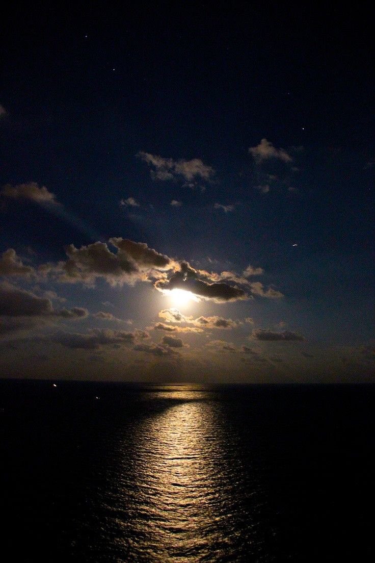 giantsdkw1013's tweet photo. Good Night, Sweet Dreams and Sleep Well π
#ChronicMusclePain #invisibleillness #ChronicPain https://t.co/6kLP3jOCin