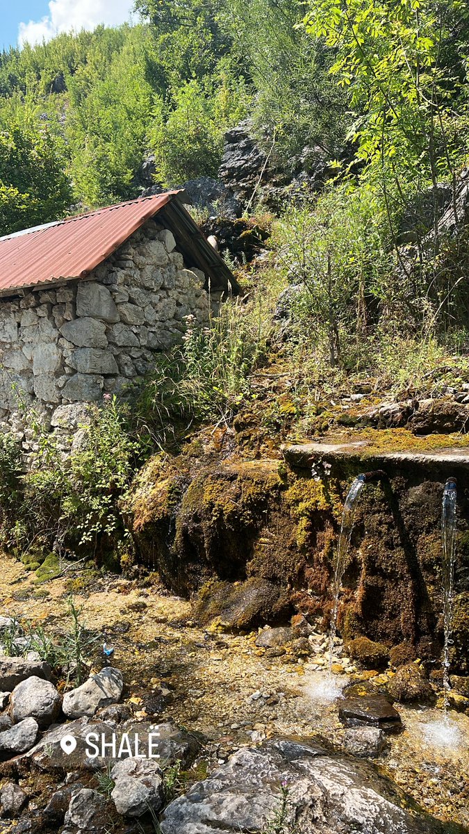 eli_gimaj's tweet photo. Trojet e mija 🇦🇱 #gimaj #shale #dukagjin https://t.co/jrUI9bldZm