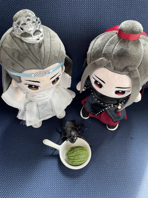 大きさ比較のヌイチャンと間引きスイカとかぶとむし(部屋とワイシャツと私) 
