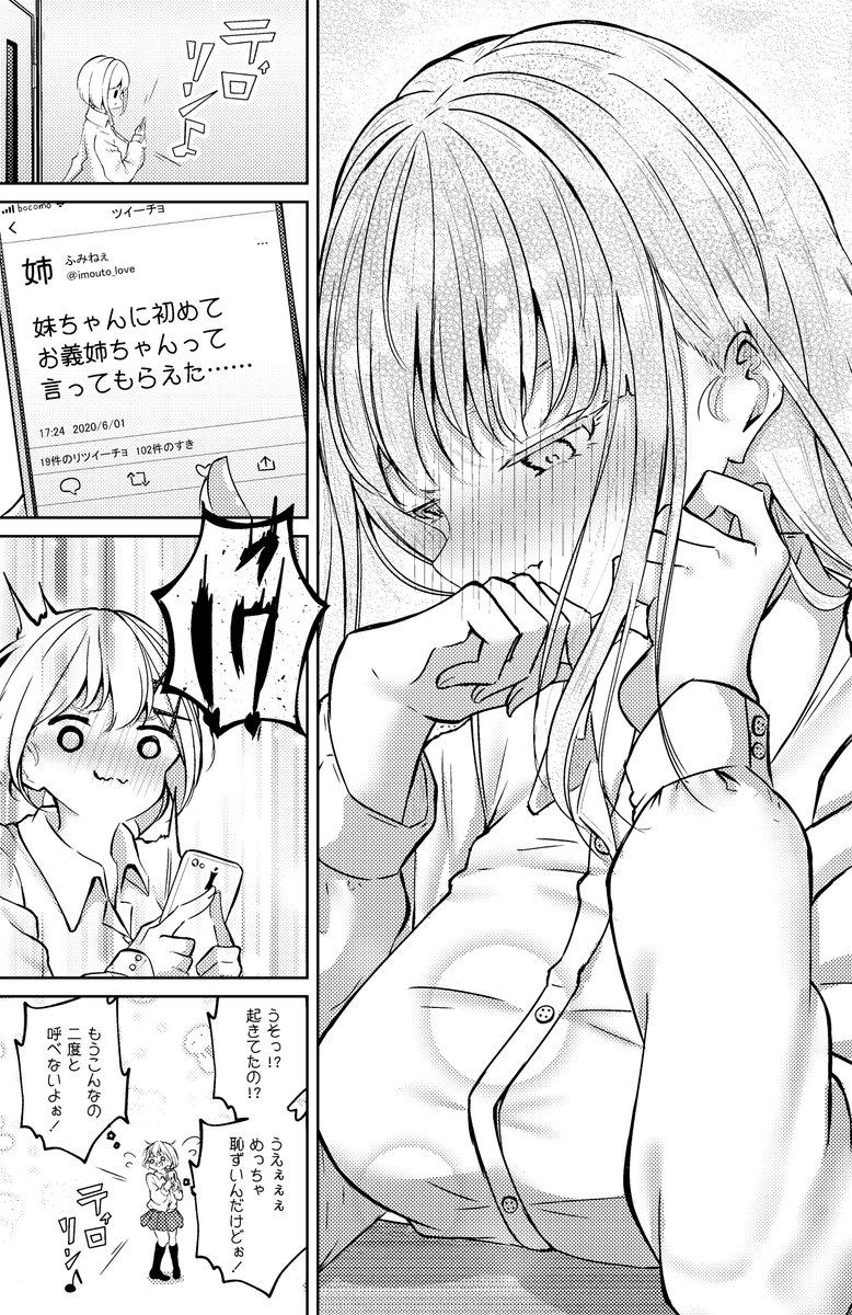 お姉ちゃんのSNS 最終話(2/3) 