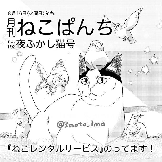 「ねこぱんち」発売です!今回の『ねこレンタルサービス』は霊能猫のレイノーがお送りいたします。

ねこぱんち 夜ふかし猫号: にゃんCOMI   アンソロジー https://t.co/Vs92v1HV4K 