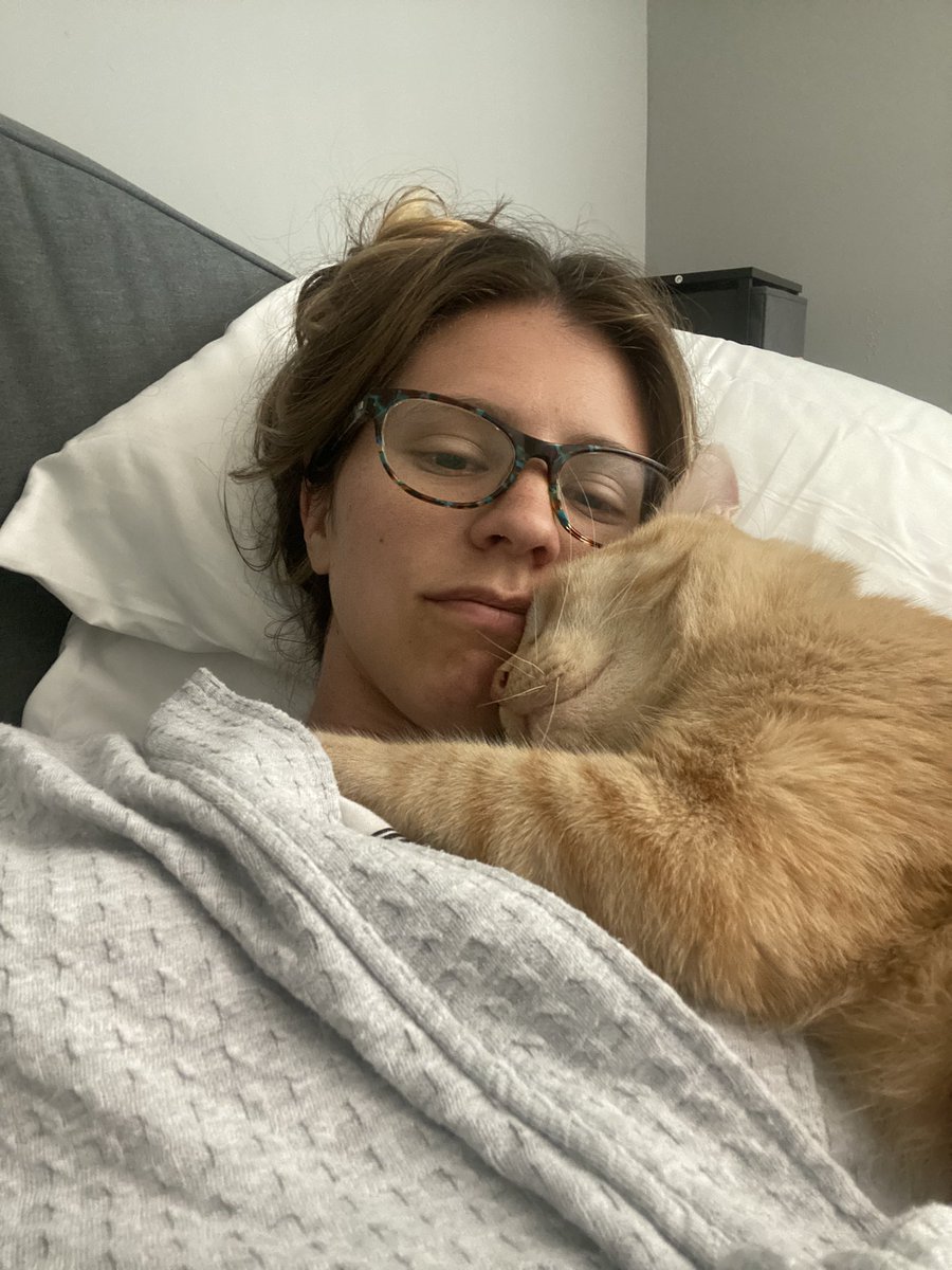 cegrosse's tweet photo. On the last Sunday before returning back to full weeks & teachers/staff reporting (yay!)…
Cheeto got extra cuddles, was allowed to sit in his favorite window that’s usually off limits, and I made two types of tomato sauces. 🍅 🐈 🪴 #selfcare #catmom #freecheeto https://t.co/IfBPY3IIqt