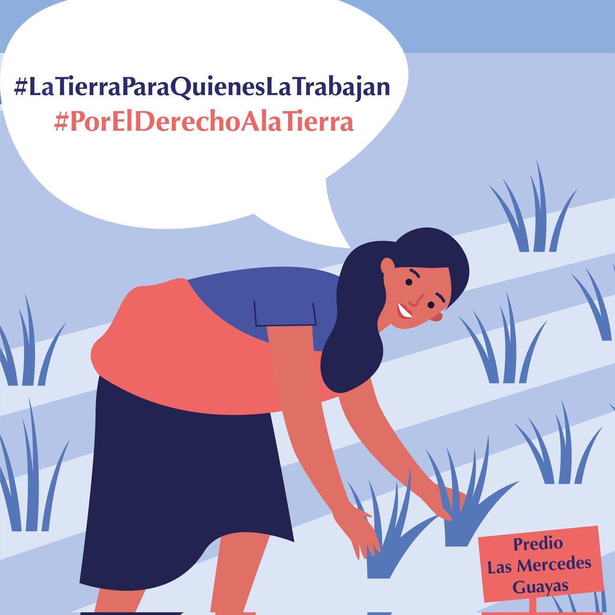 CoordinadoraG's tweet photo. Familias campesinas del predio, tienen vínculo existencial con estas tierras, dependiendo de ellas para el ejercicio del derecho a la alimentación #Dhana, #trabajo, #vivienda y #propiedaddelatierra, su desalojo en #casoisaias causaría nuevas violaciones de #PDCP #PIDESC y #CEDAW https://t.co/SDEaolz7ec