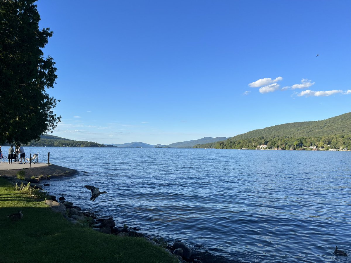 Pit stop at Lake George on the way to #ESA2022. If you’re interested in #invasivespecies, #gardens and/or #climatechahge come to my talk on Tuesday at 1:30pm  🌱 ☀️