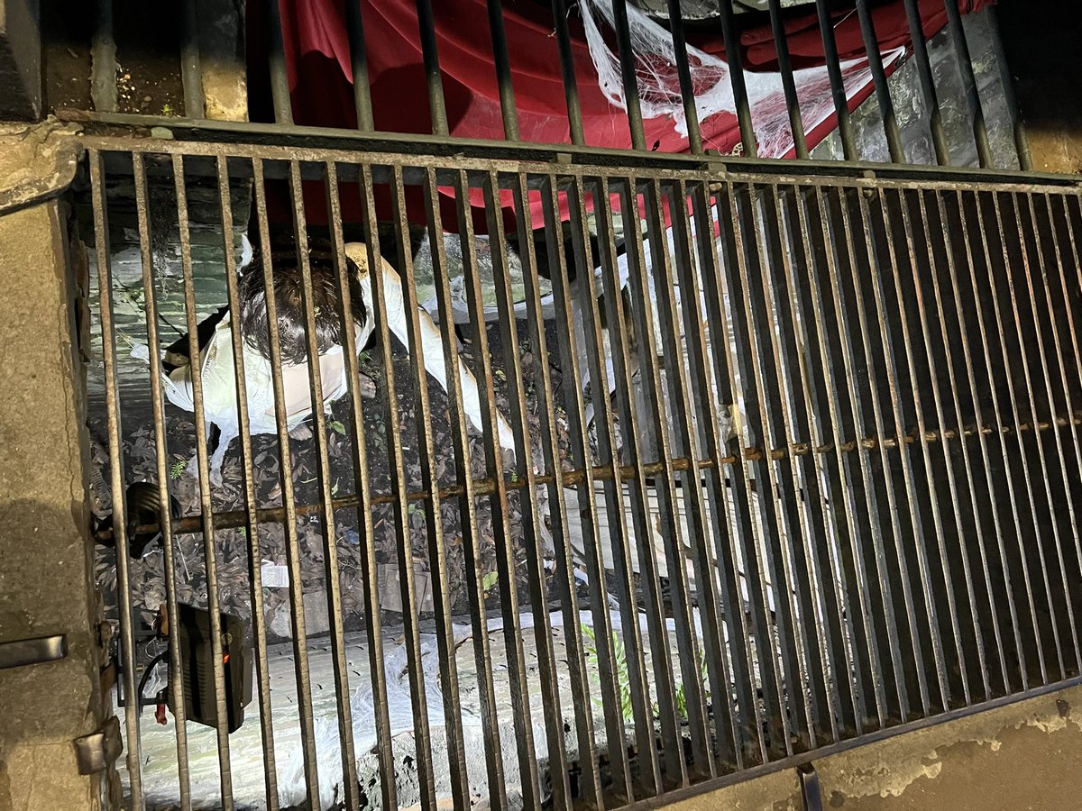 Patton Oswalt tweet media