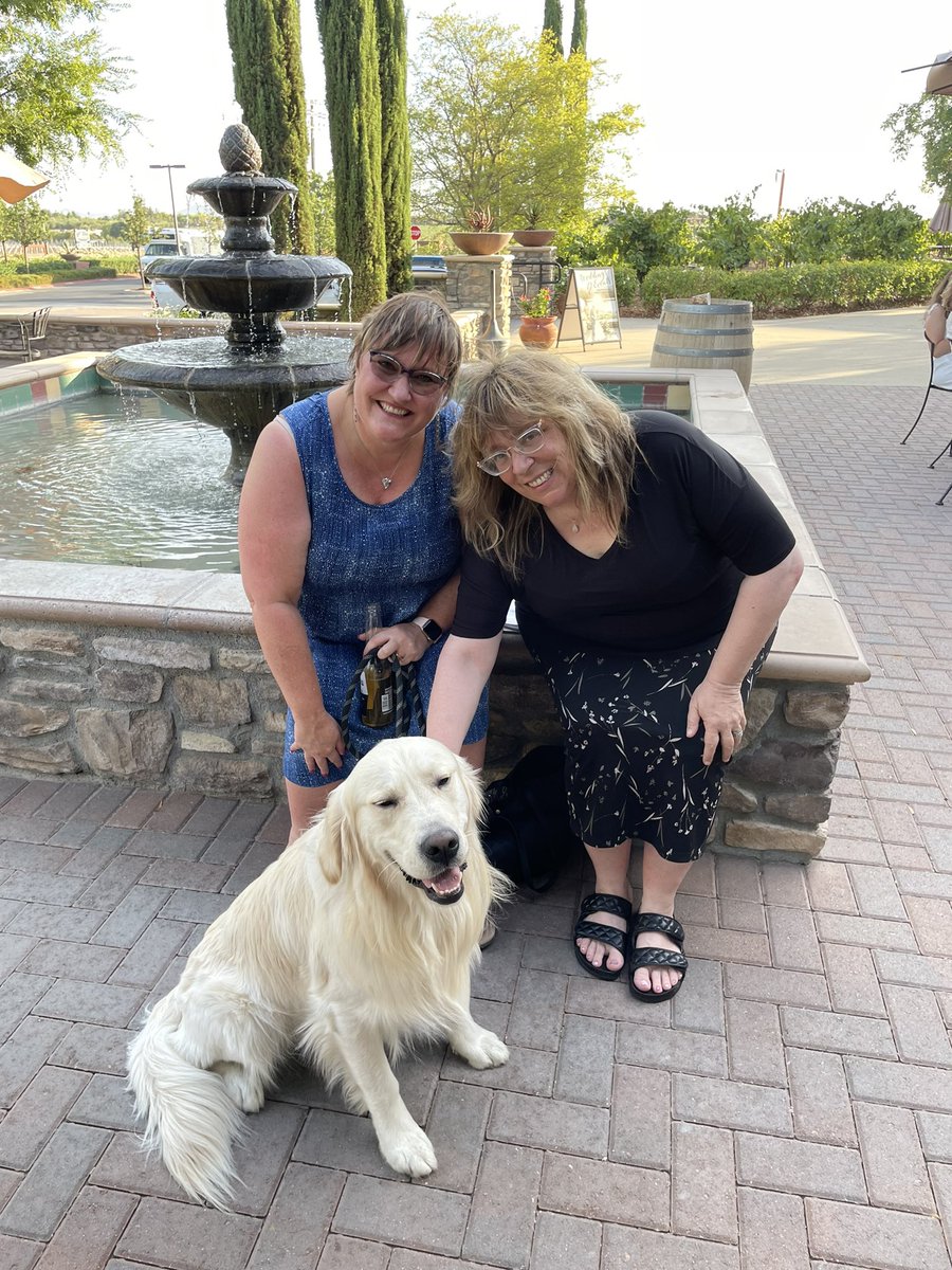 Furry Friends tweet media