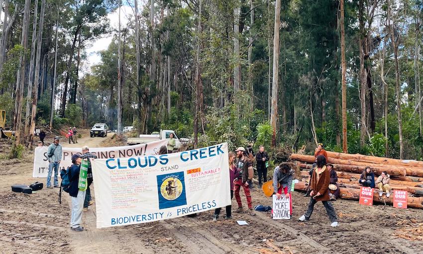 CloudsCreek's tweet photo. BREAKING NEWS!
Citizen scientists found over 55 native logging breaches in Ellis state forest by FCNSW contractors.
https://t.co/dStsKFBV4p
Calls for @NSW_EPA to issue an urgent 'Stop Work' order preventing threatened species habitat destruction on the Dorrigo Plateau. #nswpol https://t.co/nWVJyYQOTH