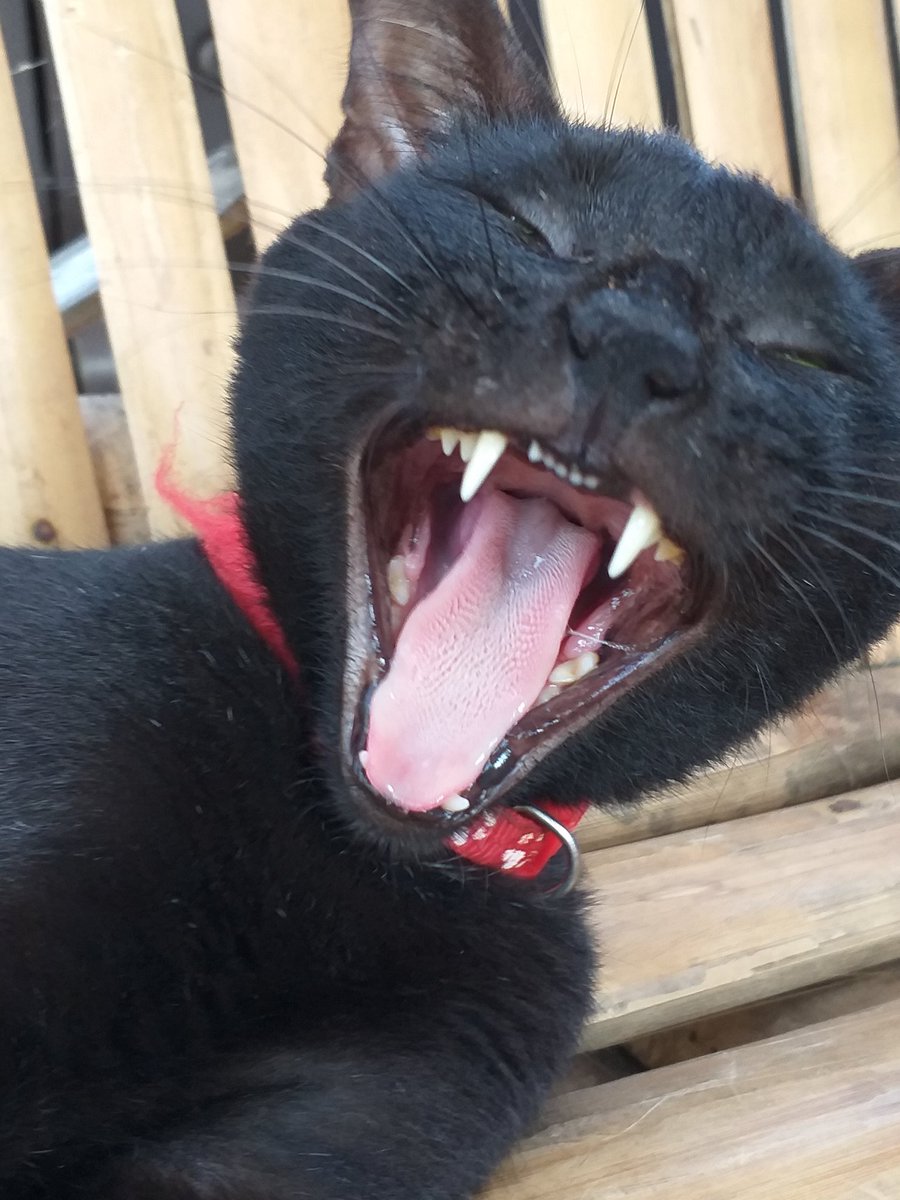 bcsator's tweet image. wtf... 6.4% inflation?