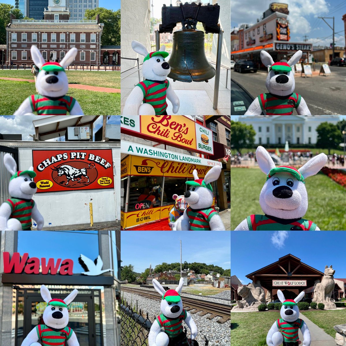 JaredSchnabl's tweet photo. @SSFCRABBITOHS @BlakeSolly @russellcrowe @willgots15 @GranmaBunny @GenosSteaks @benschilibowl @Wawa @GreatWolfLodge ReggieRabbit and all the sights from his recent road trip thru the mid-Atlantic. #ReggieRoundTheWorld #RabbitohsRoundTheWorld β€οΈπβ€οΈπππ°ππ°π¦πΊπΊπΈπ¦πΊπΊπΈ https://t.co/avY0hM5mNh