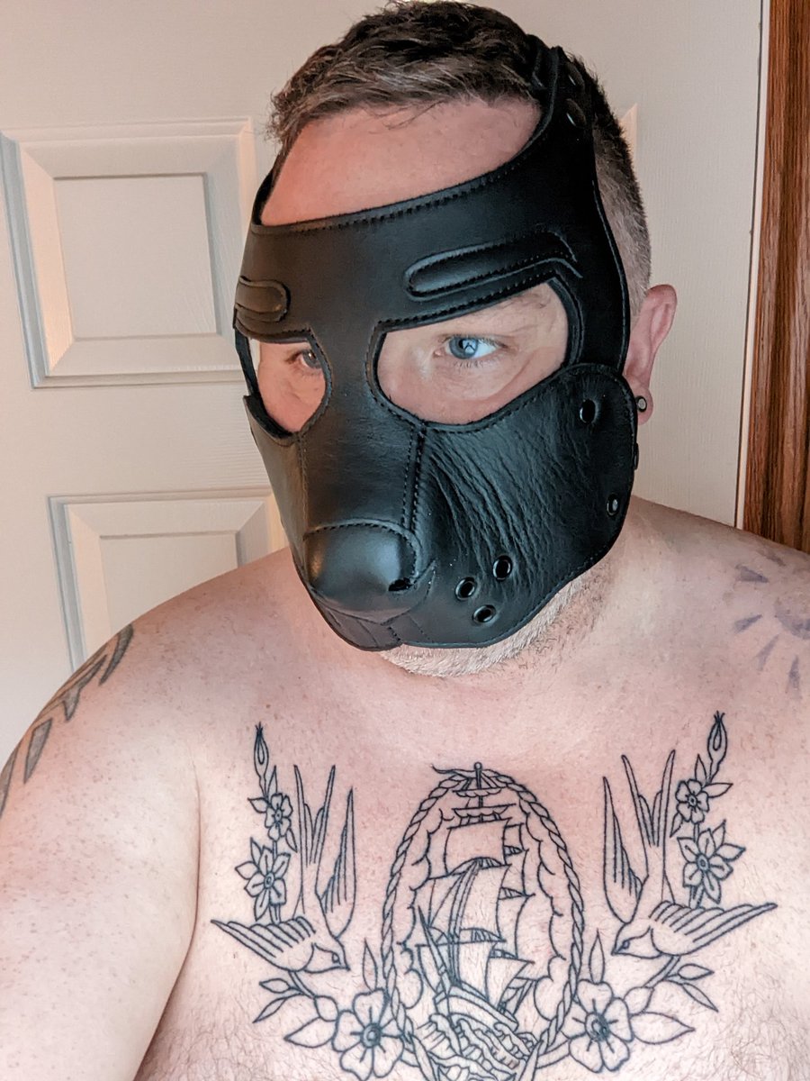 PupDelos's tweet photo. Woof. https://t.co/8d8FRb88Oj