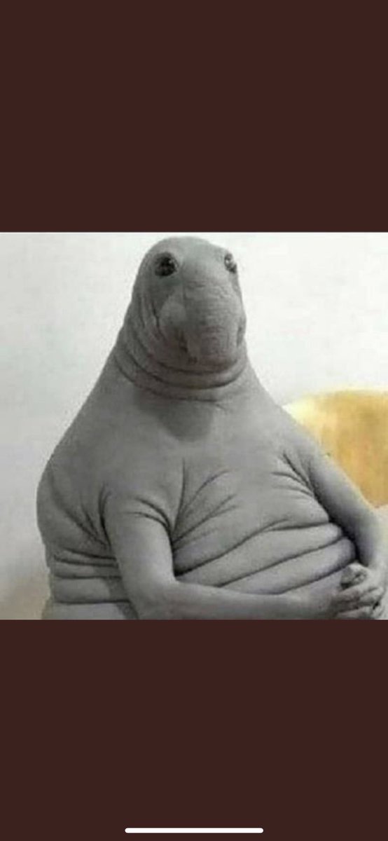 Aynen böyleyiz ben uyumaya gidiyorum herkesin gönlünce olsun #tercih2022