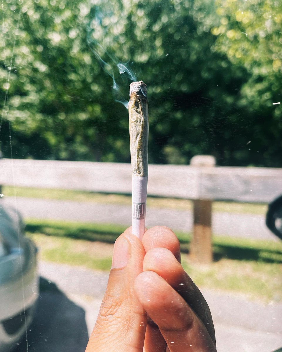 𝒟𝒪𝒞* tweet media