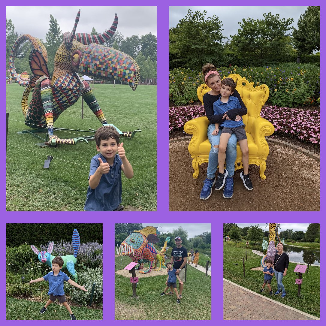 Jean Suchy tweet media