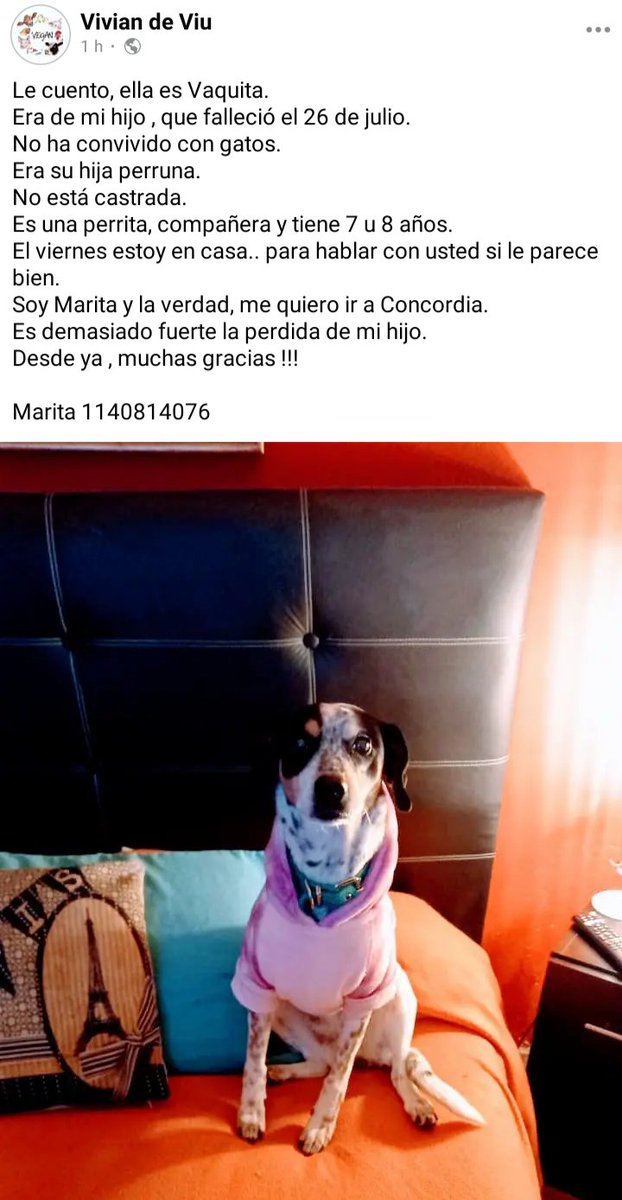 ComunicandoSiempre📣 tweet media