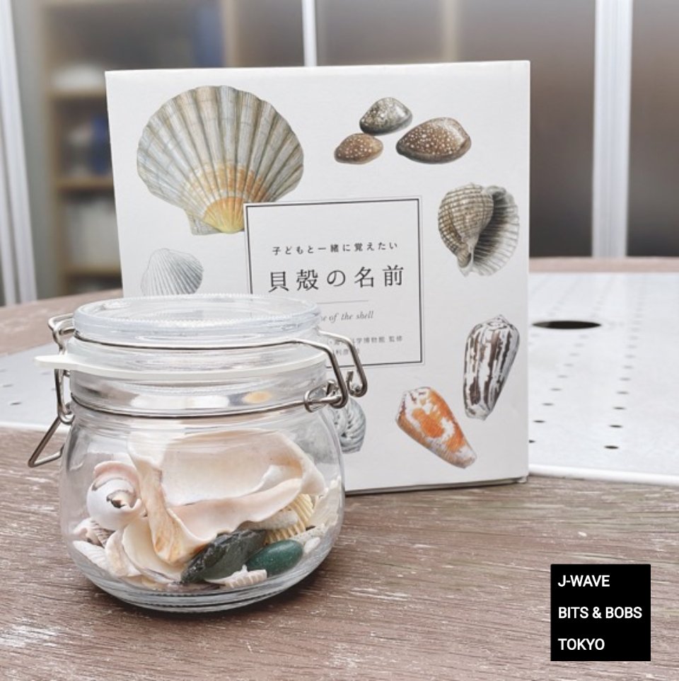 コロパル様 水晶貝♡シェル♡スモーキー共生♡No.1342 OM- 008 岡山県産 煙水晶 | ポロロッカ国産鉱物