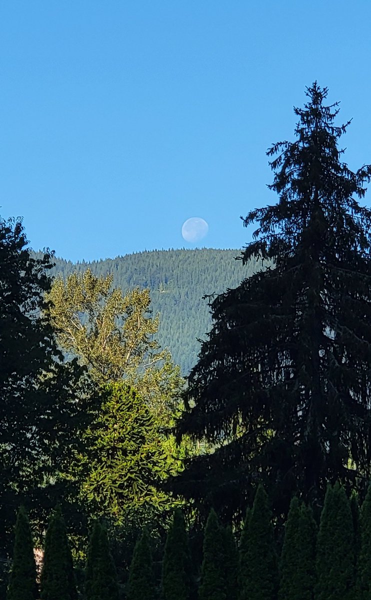 Waning moon setting over the ridge. My view from the stables this morning. #moon #pnw #landscape #Snoqualmievalley #awriterslife