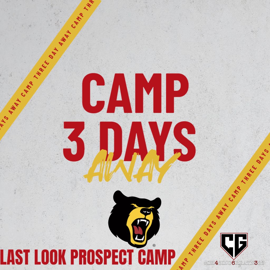 Felician Softball tweet media