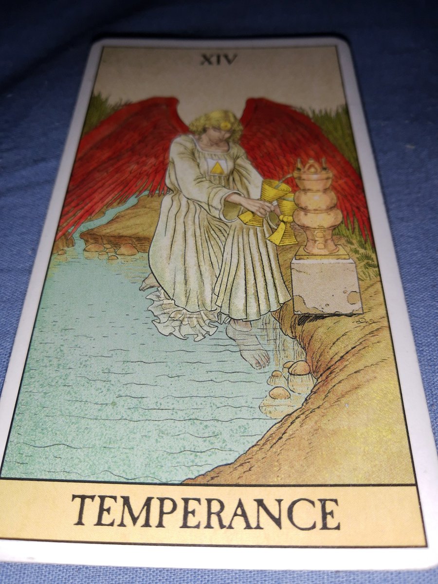 igorrealequatro's tweet photo. Escorpião: Semana sem grandes mudanças mas ideal para se organizar para os próximos dias. Na vida profissional, o momento pede que os projetos sejam refinados com mais calma para poder funcionar. No amor, tenha o seu tempo também. Não decida nada ainda. Evite conflitos https://t.co/R74AFTHKQU