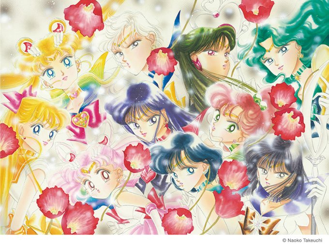 アニメ 美少女戦士セーラームーン 30周年プロジェクト公式サイト