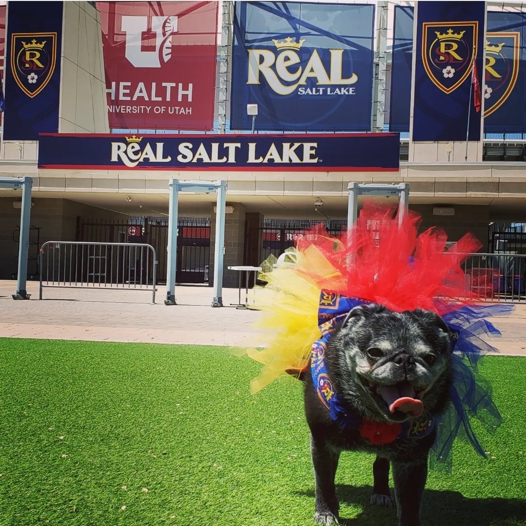 a2pugmom's tweet photo. It's another @realsaltlake Game Day and I'm wishing my lads the best of luck as they take on Seattle today at Lumen Field. Lets go boys ❤️💛💙⚽️ #Believe #Padme #RSLdogs #utahpugs #pugsofutah #RSLpug #rsl #dalereal #SEAvRSL #mls #puglife https://t.co/acKlLj1OzS