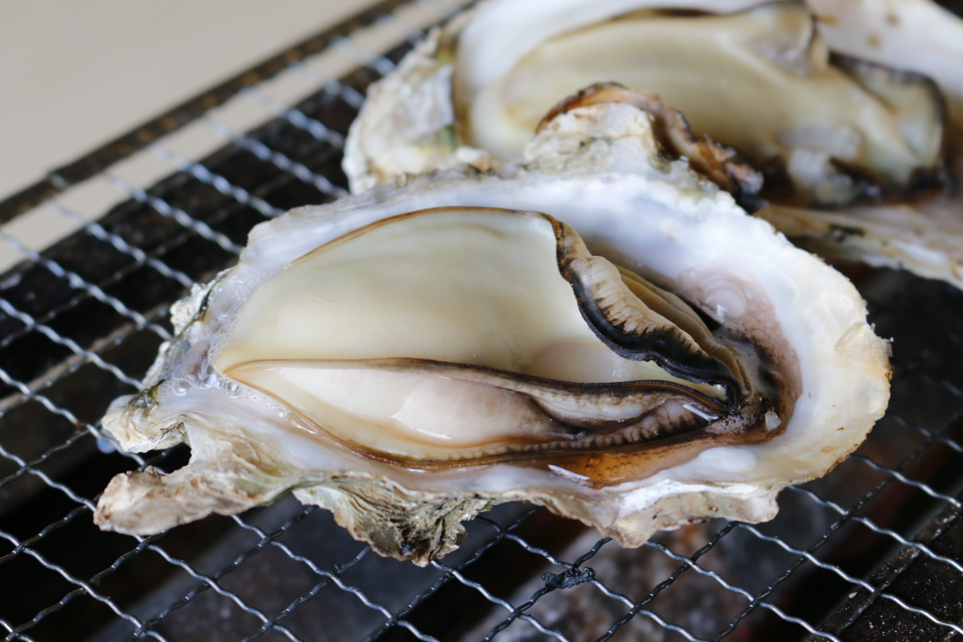 公式 海鮮浜焼きまるはま Kaisenmaruhama Twitter