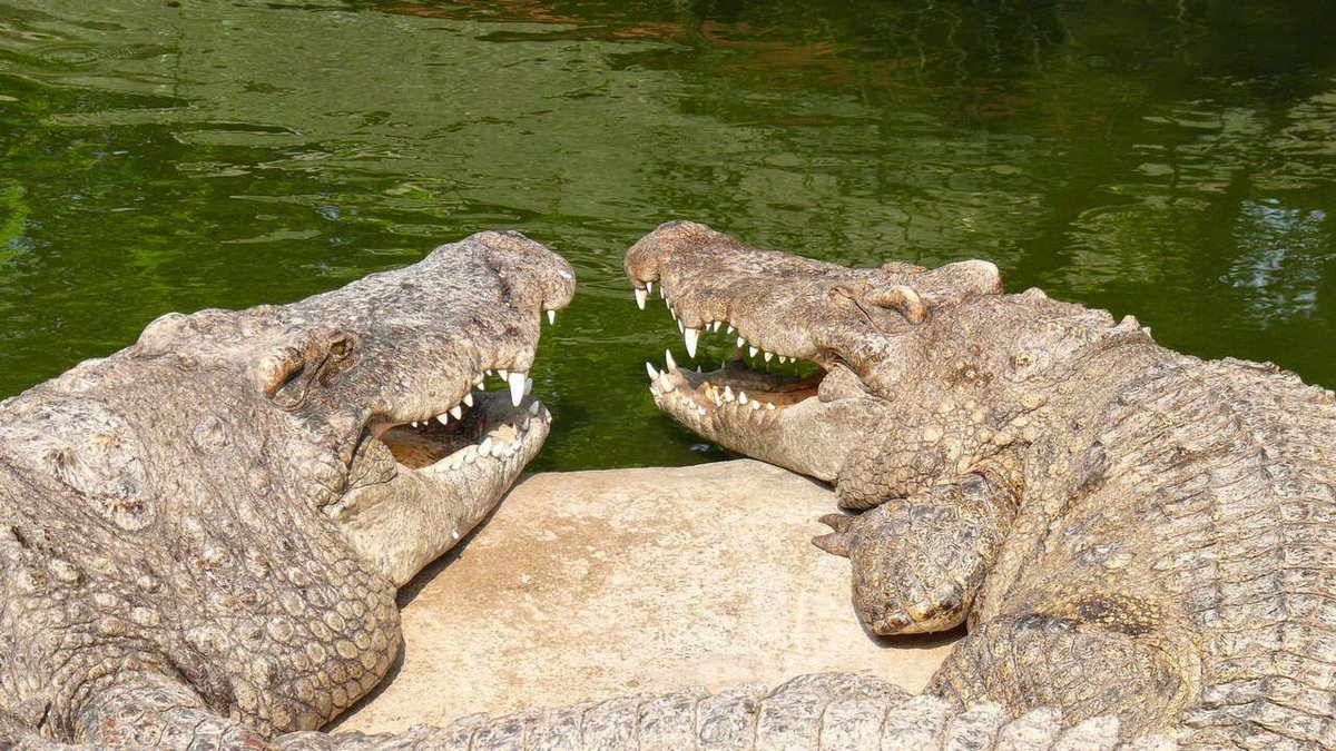 AgathaChocolats's tweet photo. In six words or fewer, write a story about this photo.
#sixwordstory #WritingCommunity https://t.co/2U7cqxONZg