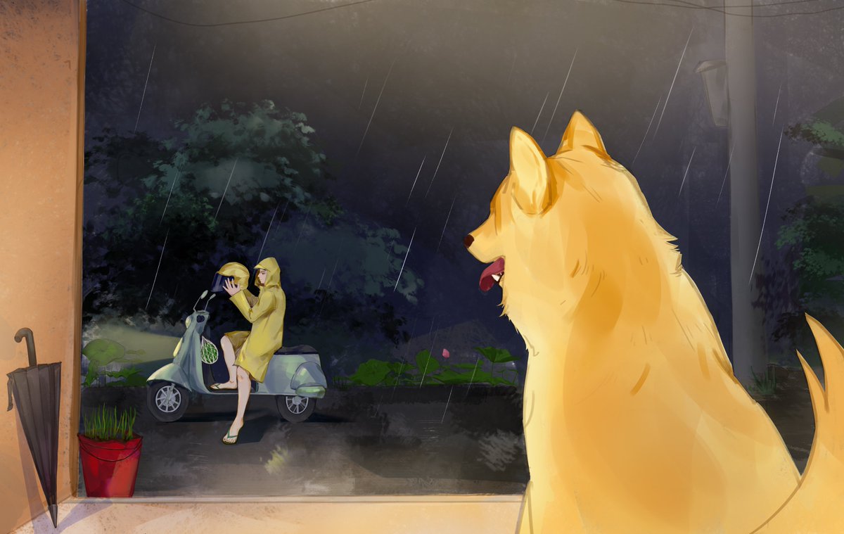 conanli6's tweet photo. 看雨的忧郁修狗 https://t.co/5p0uDS0JP2