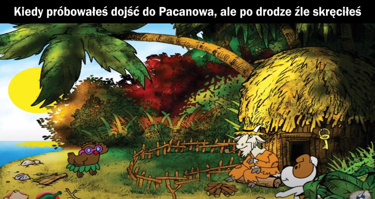 reksio_fan_page's tweet photo. Sry ze tak mało wstawiam jestem na Kubie #bringreksioback https://t.co/UURmDZTwWm