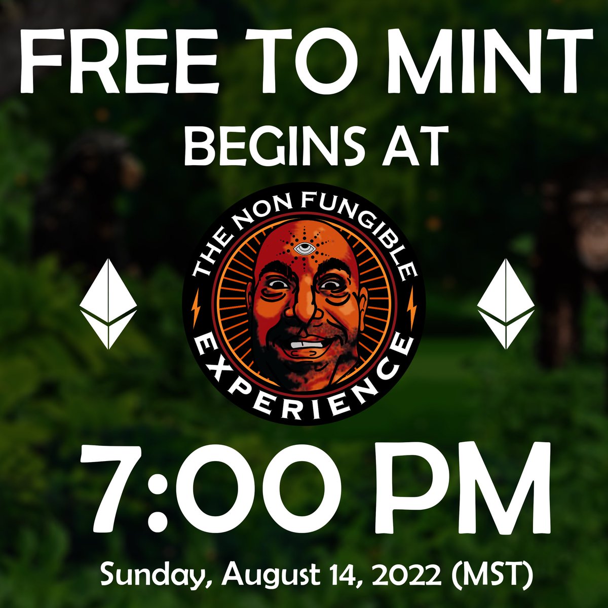 NFExperience's tweet photo. We apologize for the wait, but all has been fixed! Public minting begins at 7:00 pm PDT 🚨
#MintingNow #FreeMintNFT #FreeMintAlert #FreeMints #NFTCommumity #NFTProject #NFTdrop https://t.co/R5x0O47hFh